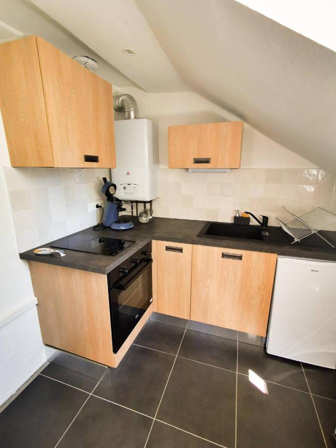 Appartement Cosy En Hypercentre - Le Petit Jules Дижон Екстериор снимка