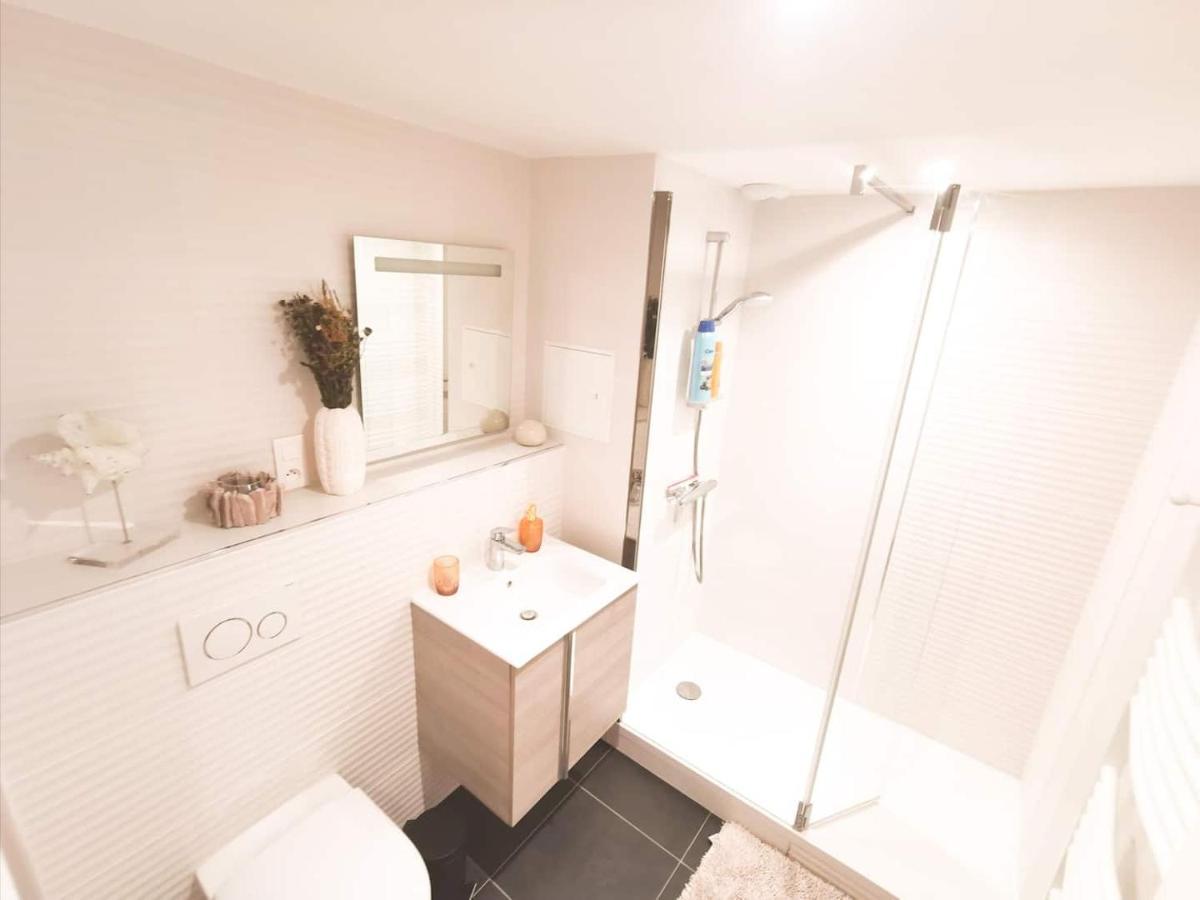 Appartement Cosy En Hypercentre - Le Petit Jules Дижон Екстериор снимка